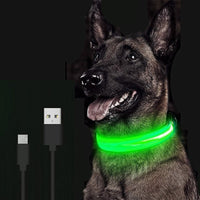 Dogs